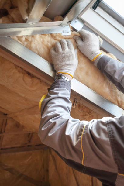 Best Insulation Inspection Services  in Malmstrom Af, MT